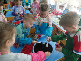 Ребята сажают семена. Ребята сажают семена.