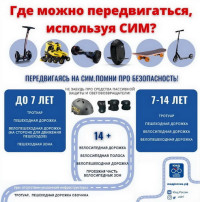Не зная правил безопасного поведения на улице, дети подвергают свою жизнь опасности Не зная правил безопасного поведения на улице, дети подвергают свою жизнь опасности.