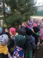 Весенняя прогулка Весенняя прогулка.