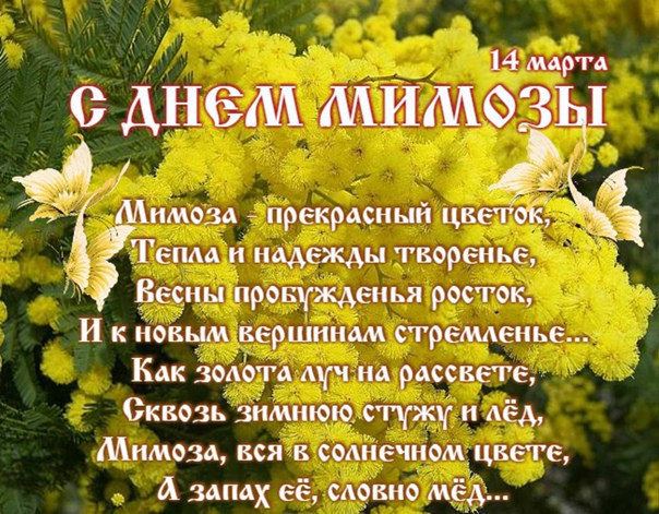 Сегодня день мимозы. День мимозы. Поздравления с днем мимозы. Открытки с днём мимозы.